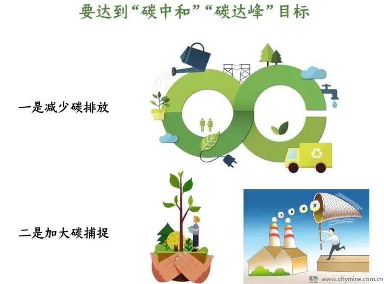 主要是靠多植树造林,采用技术干预 还有这些你不知道的"碳黑话" 碳源